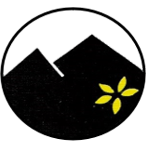 City of Walsenburg Seal